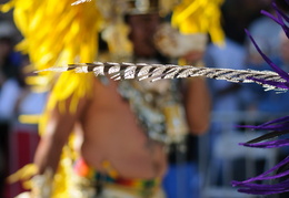 feather headdress